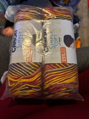 Caron Simply Soft Paints Variegated Yarn - Yellow, Red, Gray